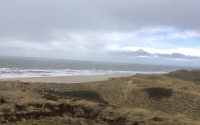 MAGNETIC NORTH – Am Ende des Alemböög