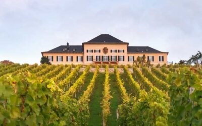 WINE ME TO THE MOON – Piano Recital im Schloss Johannisberg