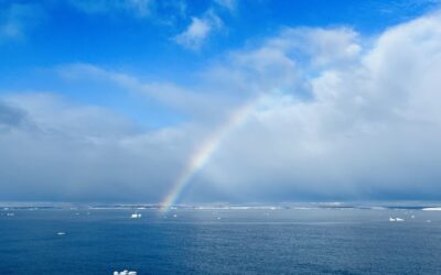 SHANNON ISLAND – Eine Insel vor der größten Insel der Welt