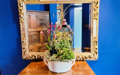 SEEBÜLL – Emil Noldes Zauberheim